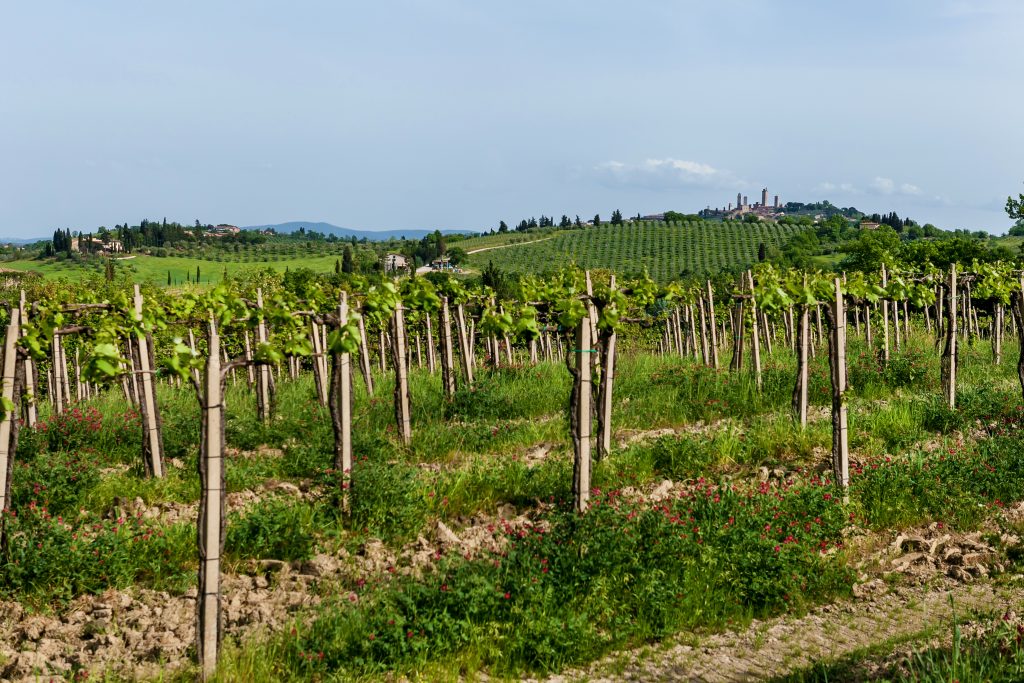 vinícolas italianas